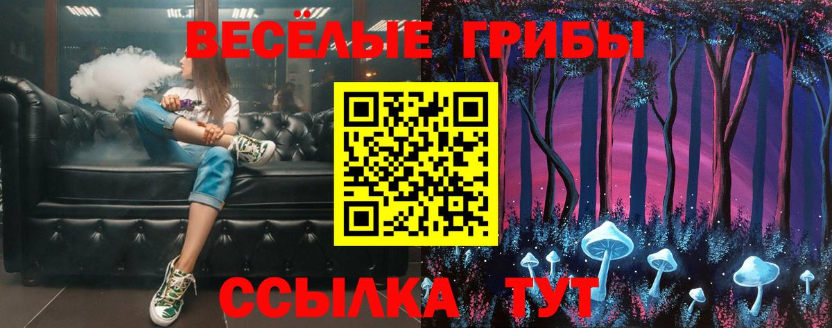 Химки  Псилоцибиновые грибы Psilocybine cubensis  Вход с VPN 